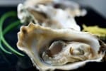 Brennan's Oyster Stew