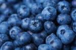 Restaurant Style Sour Cream and Blueberry Pie