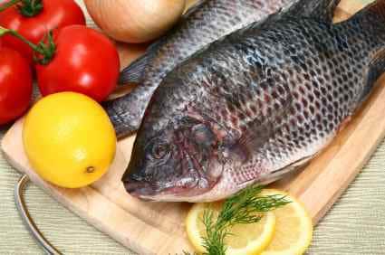 Fresh Tilapia Fresh Tilapia on a cutting board