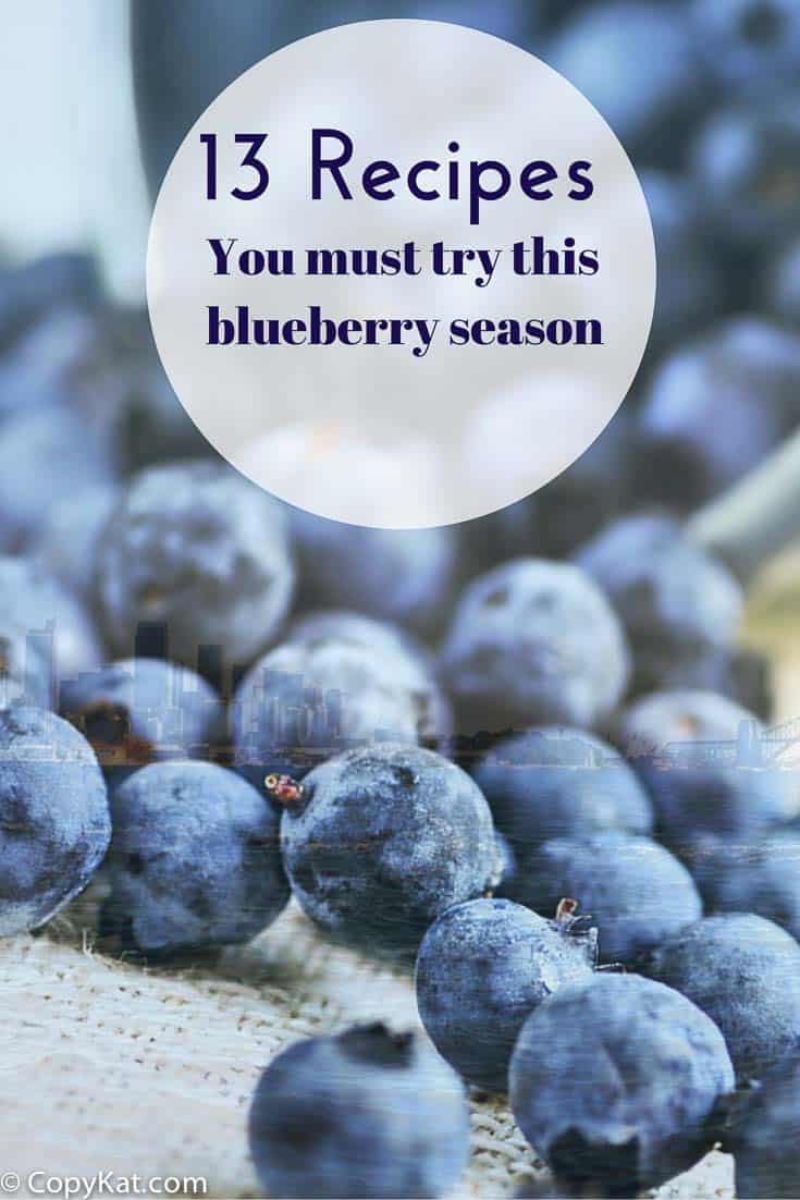 13 Fresh Blueberry Recipes You Must Try